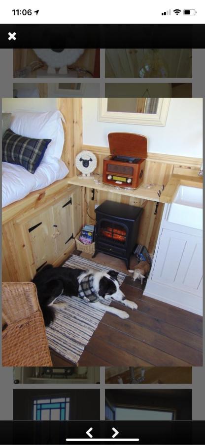 Bebside Sheepwash Shepherds Hut מראה חיצוני תמונה